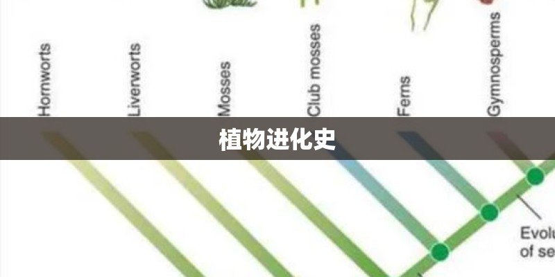 植物进化史