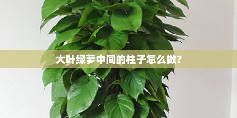 大叶绿萝中间的柱子怎么做？