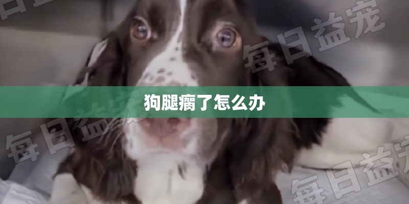 狗腿瘸了怎么办