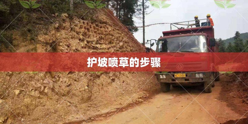 护坡喷草的步骤