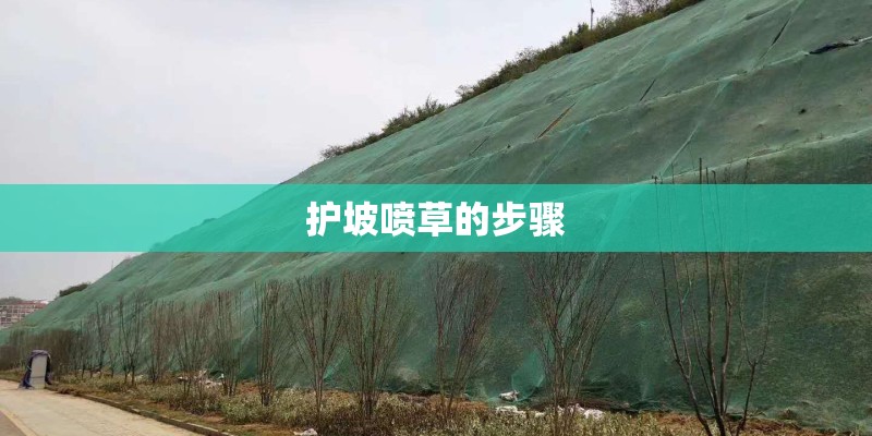 护坡喷草的步骤