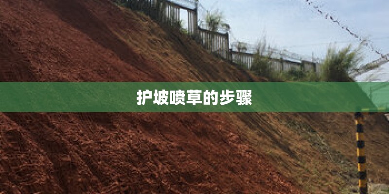 护坡喷草的步骤