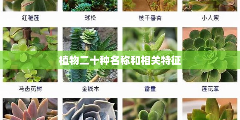 植物二十种名称和相关特征