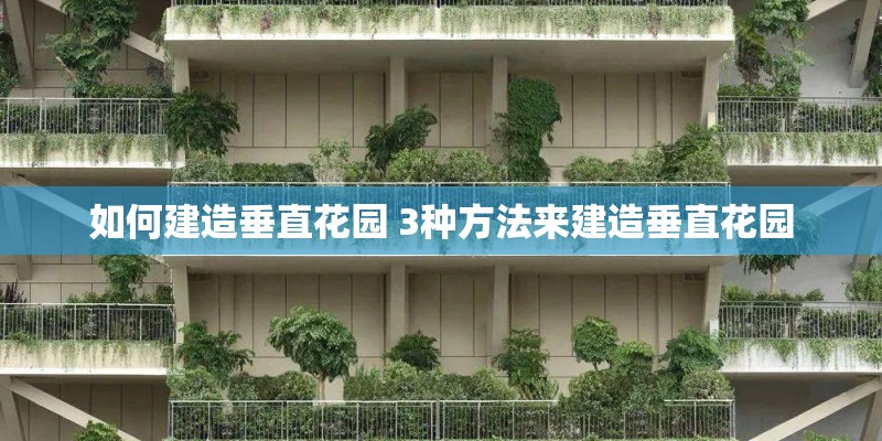 如何建造垂直花园 3种方法来建造垂直花园