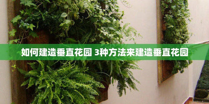 如何建造垂直花园 3种方法来建造垂直花园