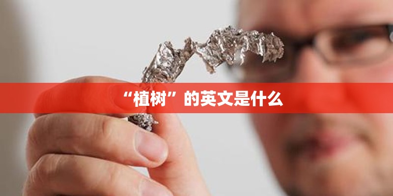 “植树”的英文是什么