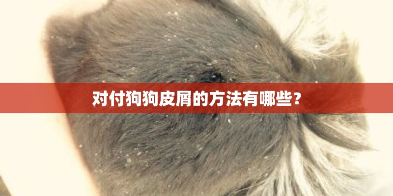 对付狗狗皮屑的方法有哪些？