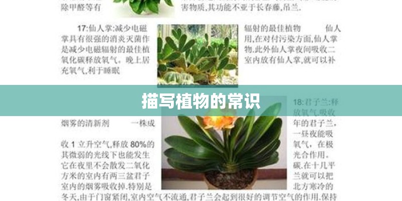 描写植物的常识