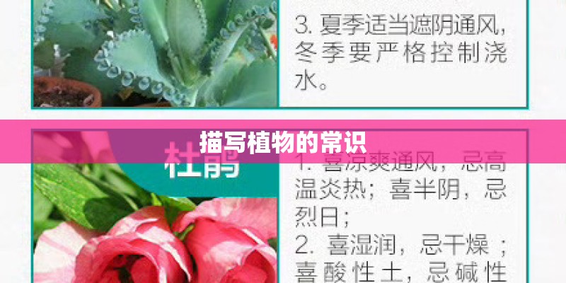 描写植物的常识