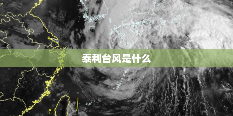 泰利台风是什么