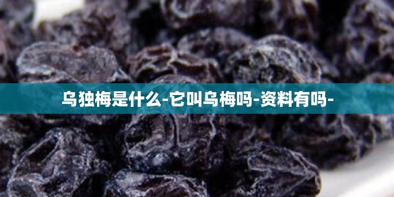 乌独梅是什么-它叫乌梅吗-资料有吗-
