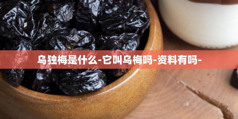 乌独梅是什么-它叫乌梅吗-资料有吗- 乌独梅是什么-它叫乌梅吗-资料有吗-