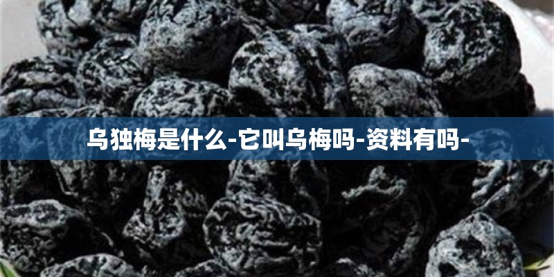 乌独梅是什么-它叫乌梅吗-资料有吗- 乌独梅是什么-它叫乌梅吗-资料有吗-