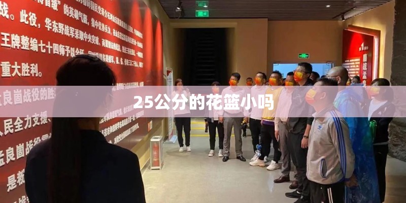 25公分的花篮小吗