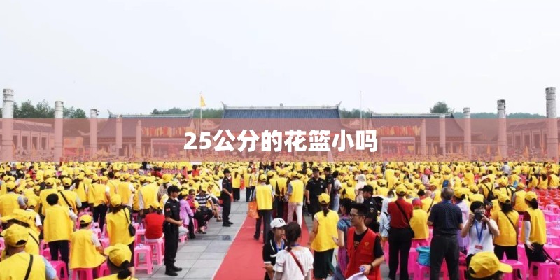 25公分的花篮小吗