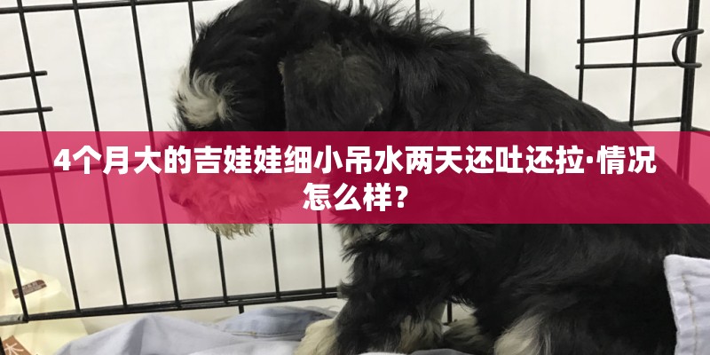 诸葛亮为什么能骂死王司徒