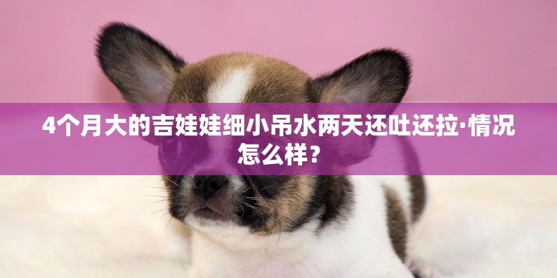 4个月大的吉娃娃细小吊水两天还吐还拉·情况怎么样？