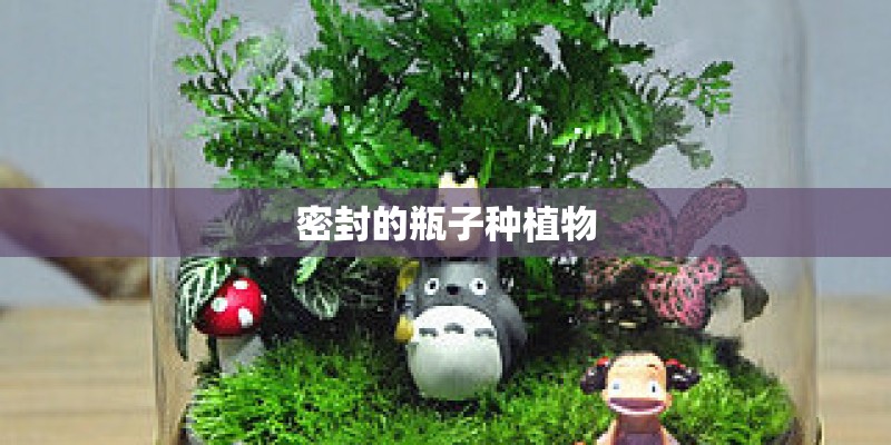 密封的瓶子种植物