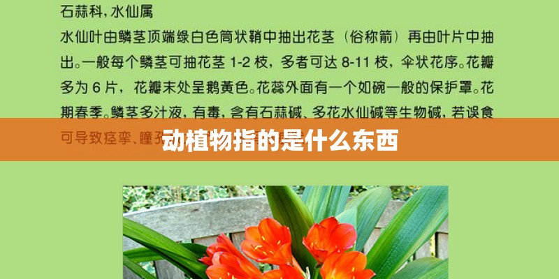 动植物指的是什么东西