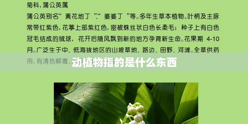 动植物指的是什么东西