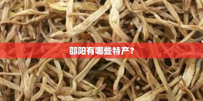 邵阳有哪些特产？