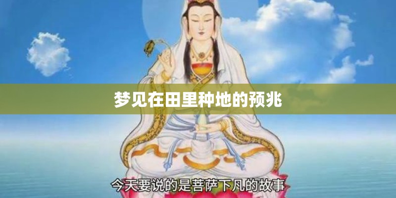 梦见在田里种地的预兆