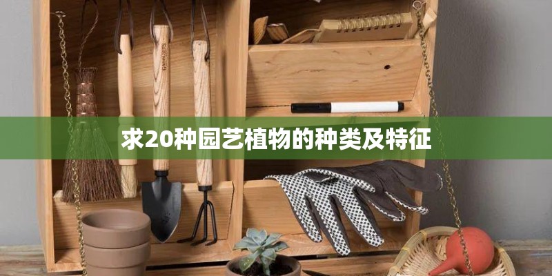 求20种园艺植物的种类及特征