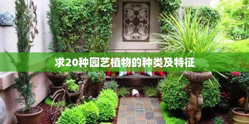 求20种园艺植物的种类及特征