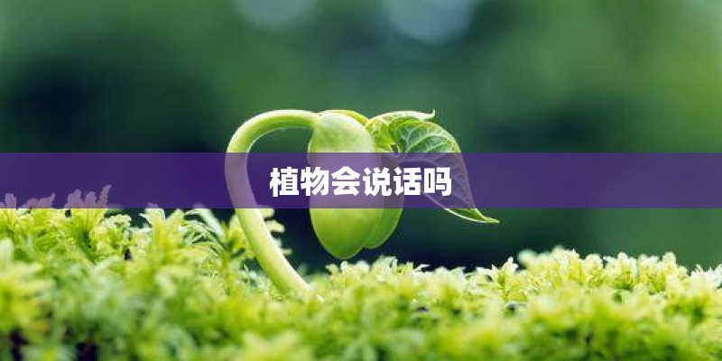 植物会说话吗
