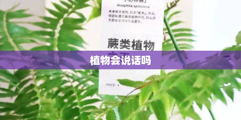 植物会说话吗
