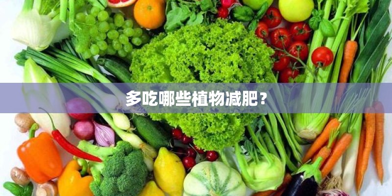多吃哪些植物减肥？