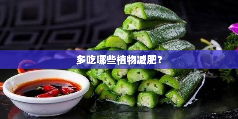 多吃哪些植物减肥？