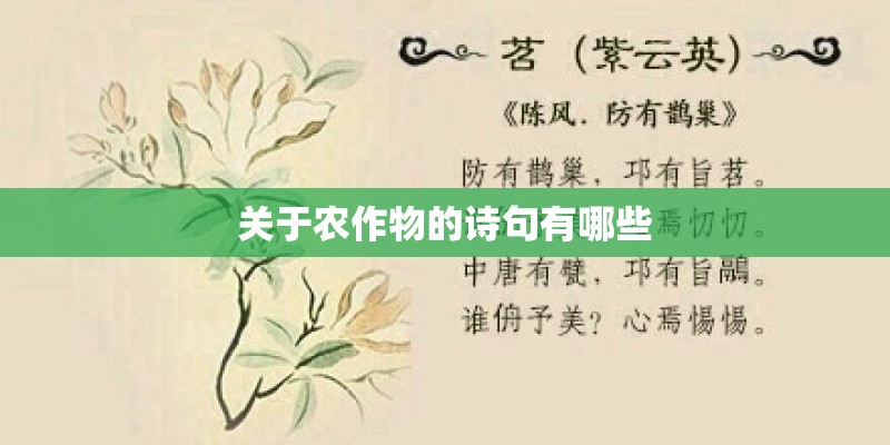 关于农作物的诗句有哪些