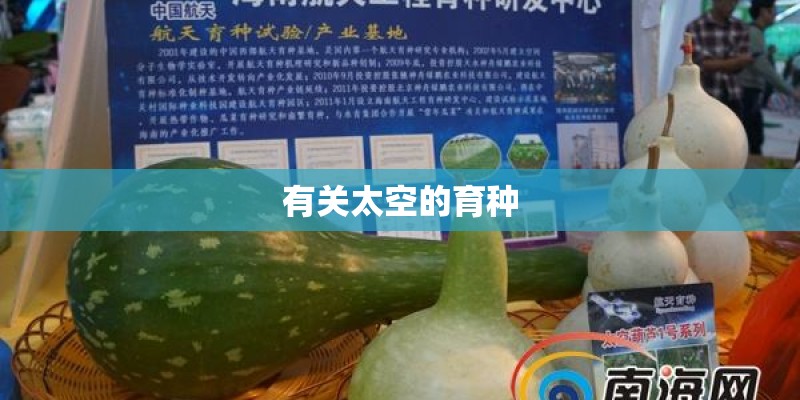 有关太空的育种