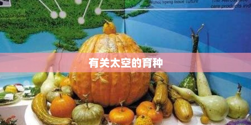 有关太空的育种