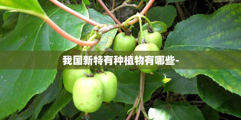 我国新特有种植物有哪些-