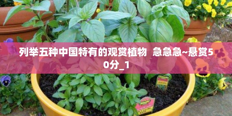 列举五种中国特有的观赏植物  急急急~悬赏50分_1