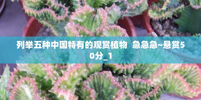 列举五种中国特有的观赏植物  急急急~悬赏50分_1