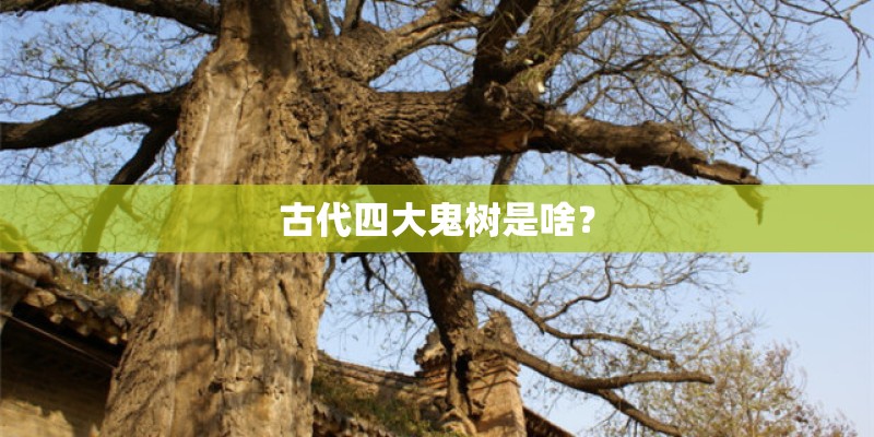 古代四大鬼树是啥？