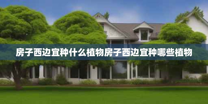 房子西边宜种什么植物房子西边宜种哪些植物