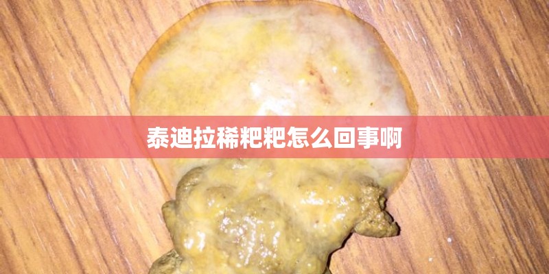 泰迪拉稀粑粑怎么回事啊 泰迪拉稀粑粑怎么回事啊