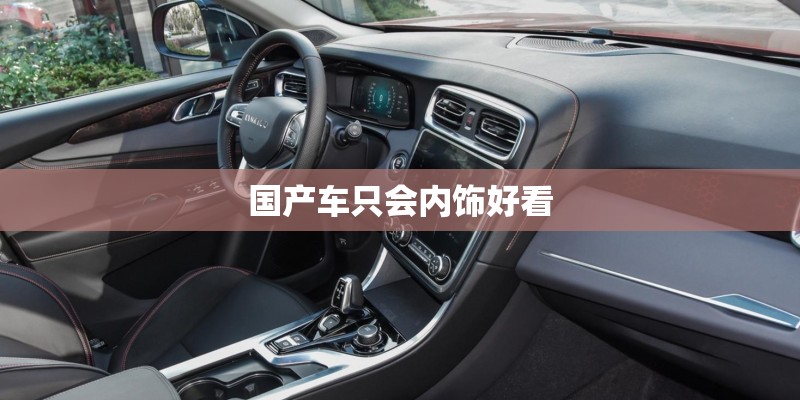 国产车只会内饰好看