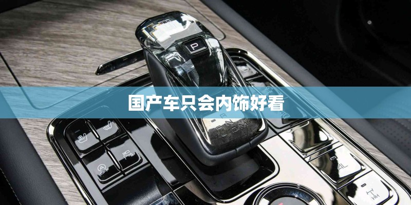 国产车只会内饰好看
