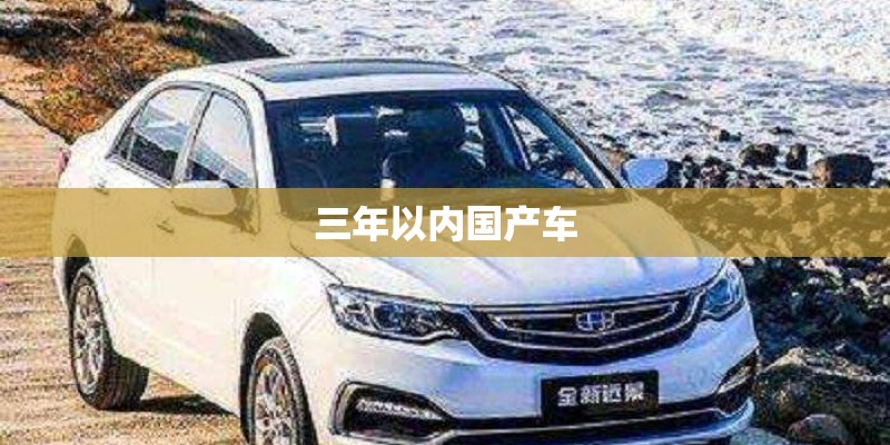 三年以内国产车