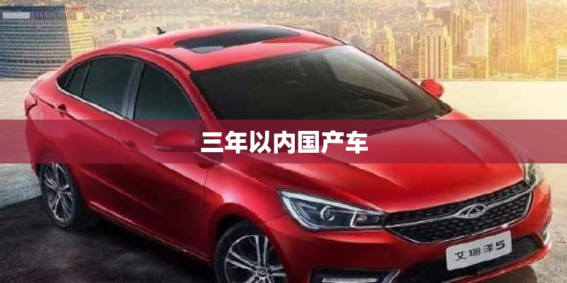 三年以内国产车