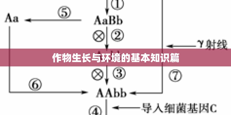 作物生长与环境的基本知识篇