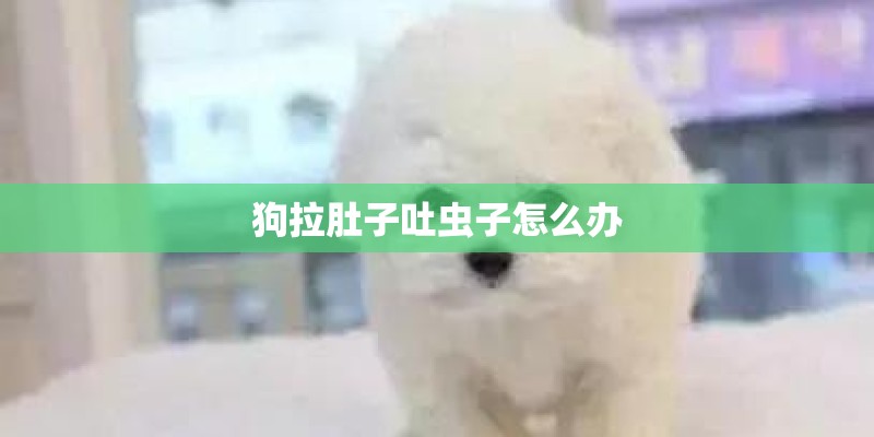 狗拉肚子吐虫子怎么办