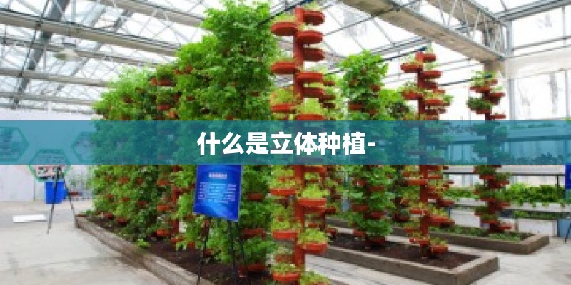 什么是立体种植-