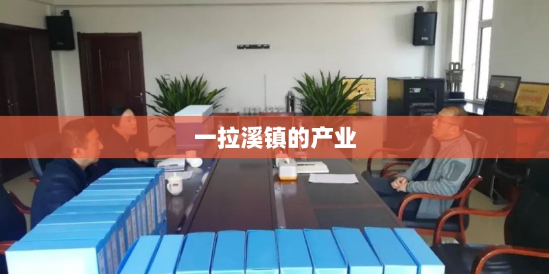 一拉溪镇的产业