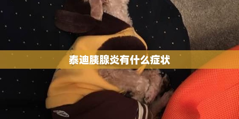 泰迪胰腺炎有什么症状